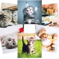 thumbnail image 1 of HAHDAXIA Microfiber Cleaning Cloth for Glasses - Eyeglass Cleaning Cloth - Lens Cleaning Cloth - Microfiber Glasses Cleaning Cloth for Phone, Screens, Camera Lens Cleaner - 6 pcs, 1 of 7