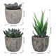thumbnail image 5 of OUNONA Juego de 3 plantas suculentas artificiales decorativas con macetas, 5 of 7