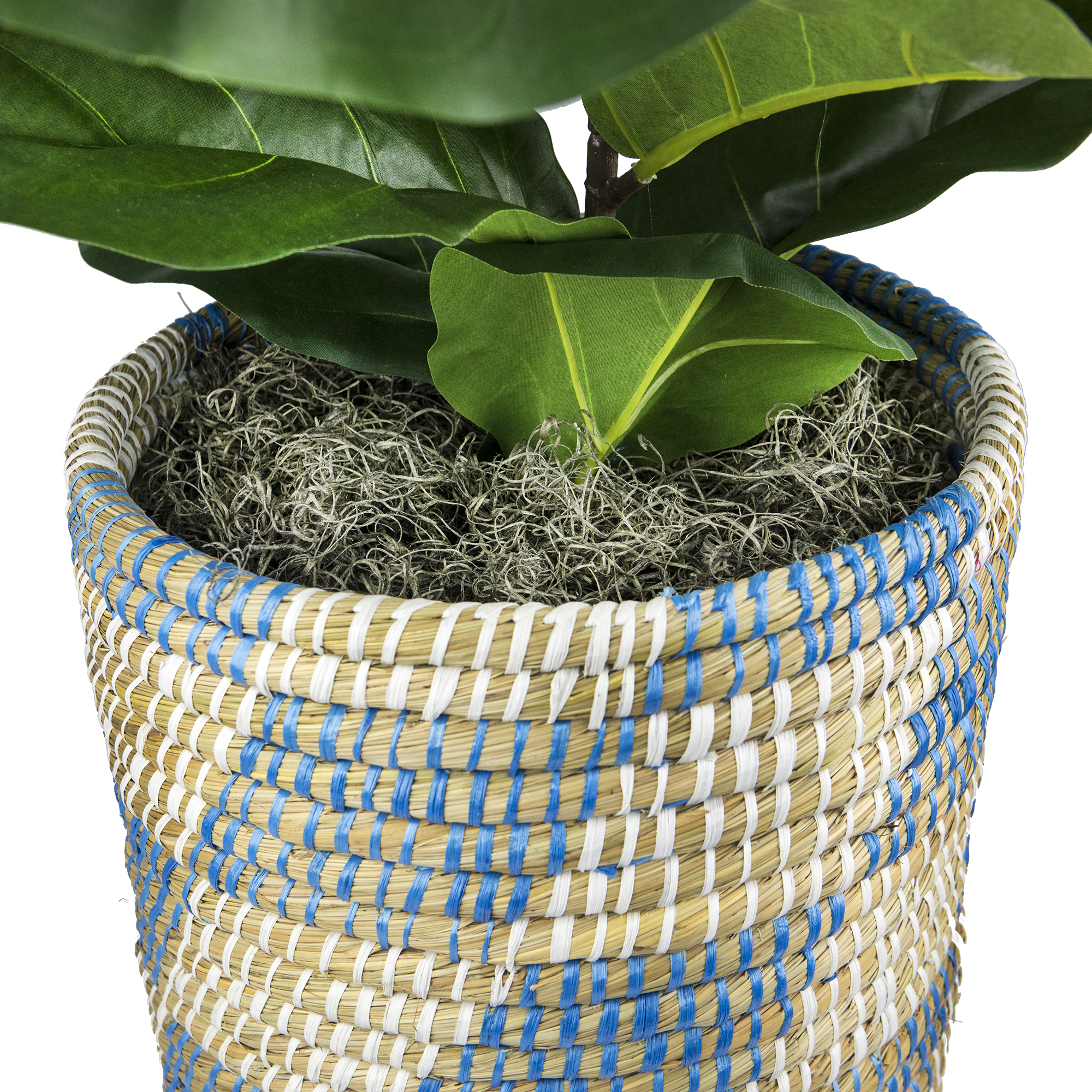 LCG Florals Artificial Plant, Deluxe Fig Plant, 4 ft, Blue and Cream Handwoven Basket