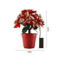 thumbnail image 3 of Tabletop Poinsettia Tree Light Christmas Plant With Lights Poinsettia Flowers Artificial Lighted For Holiday Party Centerpiece Table Decor Christmas-d, 3 of 5