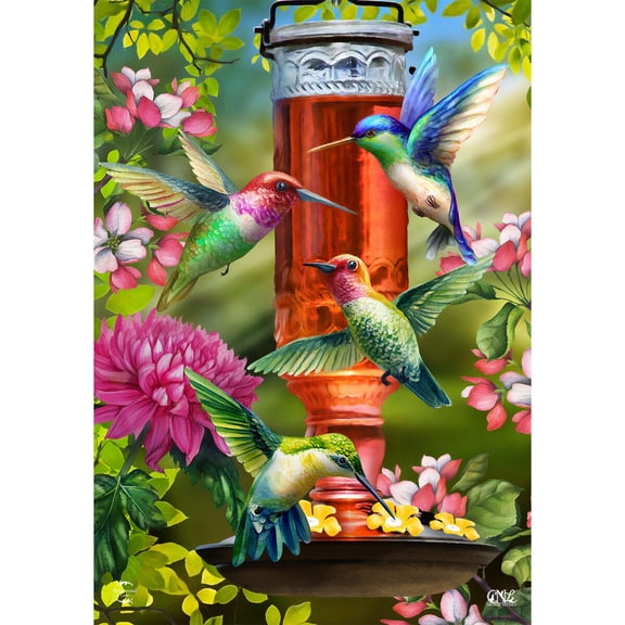 Briarwood Lane Spring House Flag 40x28 For Outdoor Hummingbird Feeder For Spring House Flag
