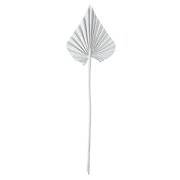 Vickerman Natural Botanicals 15.75 - 19.5" White wash Dried Palm Spear, 12 per bag.