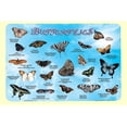 thumbnail image 1 of Painless Learning BUT-1 Papillons Set de Table - Pack de 4, 1 of 1