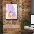 thumbnail image 5 of Epic Graffiti 'Phalaenopsis Orchid' by Pamela Plummer, Canvas Wall Art, 12"x16", 5 of 8