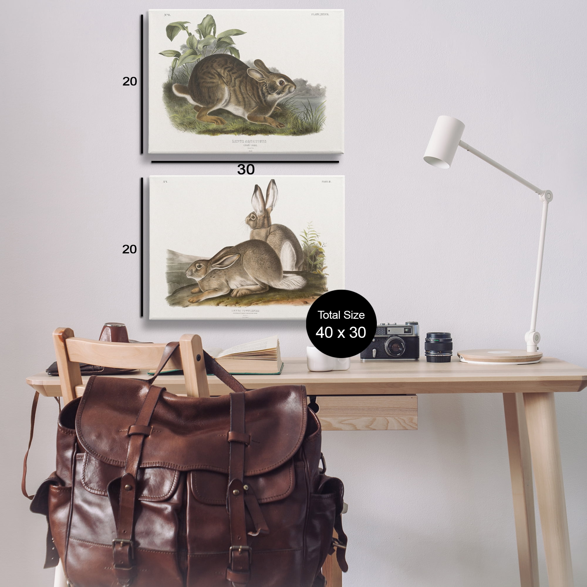 Stupell Industries Gentle Resting Cottage Rabbit Animals Painting Wrapped Canvas Art Print Wall Art, 30 x 20, Set of 2