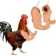 thumbnail image 1 of Juguetes de brazos de pollo musculosos para que los pollos usen, disfraz divertido, juguete de brazos de lucha con puños para fiesta temática de broma de mascotas, 1 of 6