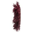 thumbnail image 4 of Vickerman 24" Burgundy Artificial Eucalyptus Glitter Wreath., 4 of 6