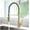 Brushed Gold, variant on Kitchen Faucets, Solid Brass Single Handle Single Lever Pull Down Sprayer Spring Kitchen Sink Faucet High-Arc Kitchen Mixer Tap,Brushed Gold