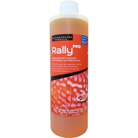 UPC: 0685759130347 | Ruby Reef Rally