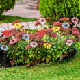 thumbnail image 4 of 5pcs Vintage Sunflower Garden Stakes Lawn Patio Ornaments Waterproof Flower Stick Home Decor, 4 of 5