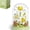 Daisy, variant on Carnation Flower Bouquet Mini Building Blocks, 189 PCS- Botanical Collection, Micro Flower Building Toys with Dust Cover, Home Decor and Office Art Creative Gift Women, Mom - Birthday