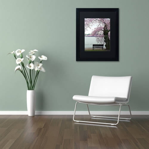 Trademark Fine Art "Tranquility" Canvas Art by CATeyes, Black Matte, Black Frame