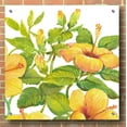 thumbnail image 3 of Epic Art 'Watercolor Hibiscus II' by Tim O'Toole, Acrylic Glass Wall Art, 36"x36", 3 of 6