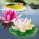 thumbnail image 3 of Simulación de jardín, decoración de flor de loto de resina flotante para estanque de peces, adorno de agua, loto blanco, 3 of 9
