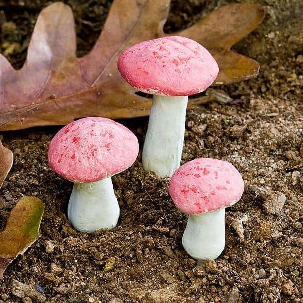 G & F 10025PU 3 Piece Fairy Garden Miniature Mushroom Set G & F 10025PU 3 Piece Fairy Garden Miniature Mushroom Set