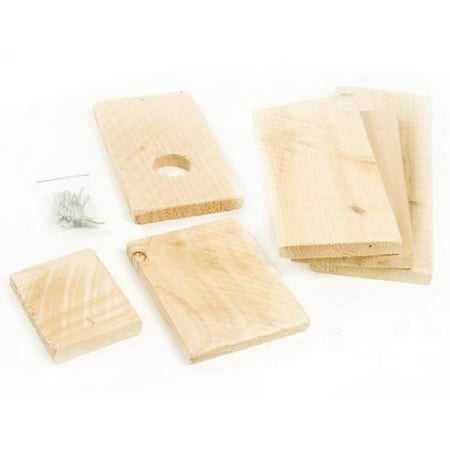 Songbird Essentials DIY Build a Birdhouse Bluebird Kit 