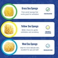 thumbnail image 5 of Baby Buddy 4" Natural Baby Bath Sponge, Ultra-Soft Sea Wool, Gentle on Baby Skin, Biodegradable, 4pk, 5 of 8