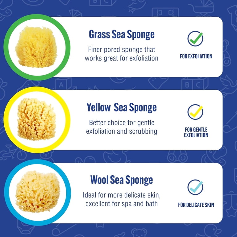 Baby Buddy Natural Wool Sea Sponge for Newborns photo 5