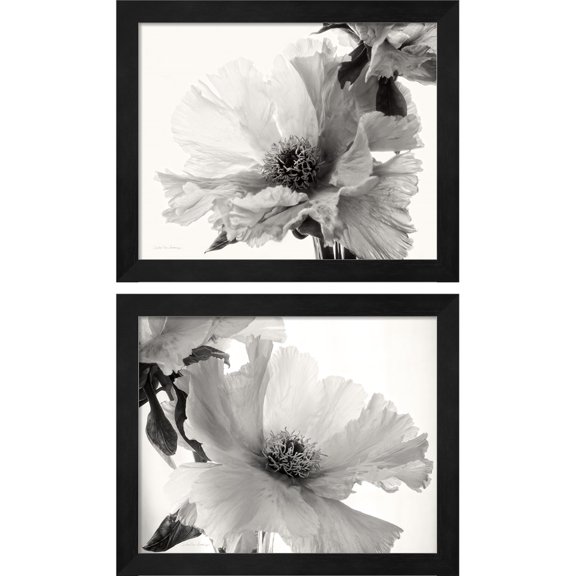 Great Art Now Translucent Peony BW by Debra Van Swearingen, 2 Piece Framed Art Set Each 11.25"W x 9.25"H
