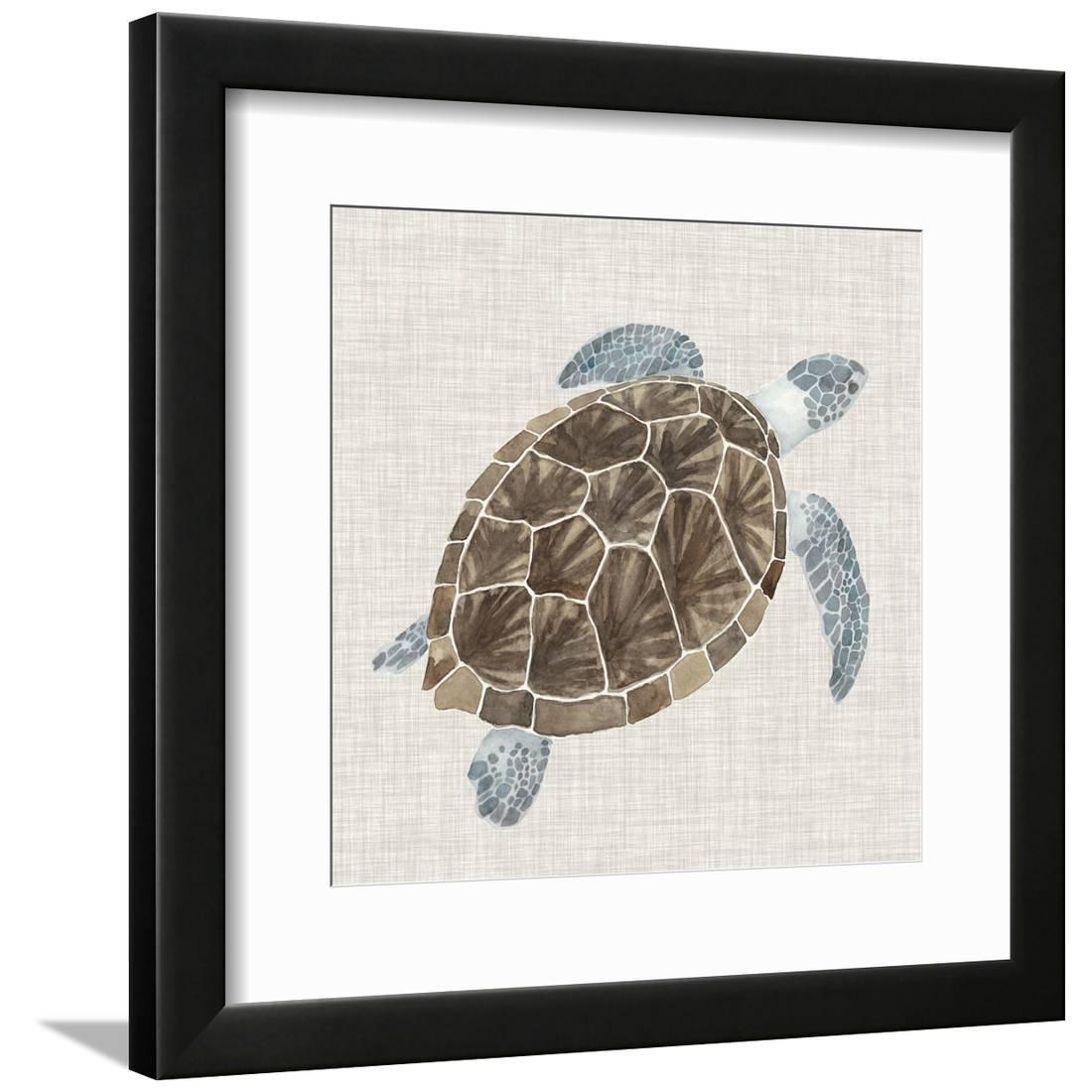 Sea Turtle I Framed Print Wall Art By Naomi McCavitt
