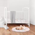 thumbnail image 2 of Sweet Jojo Designs Blush Pink, Grey and White Shabby Chic Playmat Tummy Time Baby and Infant Play Mat for Watercolor Floral Collection - Rose Flower, 2 of 3