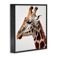 thumbnail image 3 of Stupell Industries Transitional Traditional Giraffe Portrait Black Framed Giclee Art, 12 x 12, by RB, 3 of 8