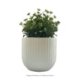 thumbnail image 4 of Maceta Decorativa Homecreations Cerámica 6 Pulgadas, 4 of 4