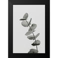 thumbnail image 2 of 1x Studio III 11x14 Black Modern Framed Museum Art Print Titled - Eucalyptus Natural 06, 2 of 5