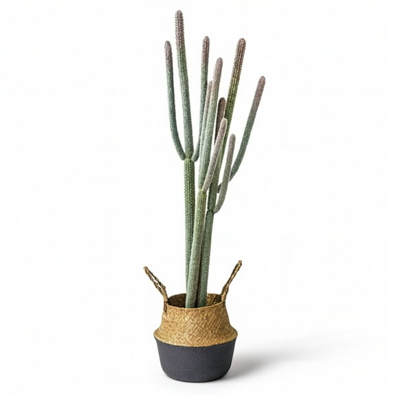 NCYP 4ft (48 Inch) Tall Artificial Cactus in Plastic Planter with Seagrass Basket - Faux Small Saguaro Cacti Potted for Home, Room, Office, Indoor Farmhouse Floor Decor, Fake Plants