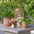 thumbnail image 3 of Flower Pots and Planters for Home Decor - Terracotta Ceramic Plant Pots with Stripe Design and Saucers for Indoor and Outdoor Use - Ideal for Garden, Patio, or Room Decor Set of 2 - 8", 6" Orange, 3 of 7