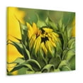thumbnail image 4 of BeABetterHumanStore Yellow Sunflower Canvas Wall Decor Room Home Art Painting, 4 of 7