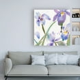 thumbnail image 3 of Trademark Fine Art 'Irises Violet' Canvas Art by Sheila Golde, 3 of 3