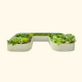 thumbnail image 6 of Vego garden 17" Tall U-Shape Raised Garden Bed Metal Planter Box for Vegetables Flowers Ground Jumbo Size, 6 of 6