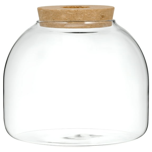 ACDANC Glass Terrarium Jar with Wood Stopper Micro Landscape Container Hydroponic Plants Terrarium