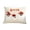 D002- B, variant on Embroidered Pillow, Vintage Pumpkin Print Style, Halloween Home Decor Indoor for Dining Room Patio, Holiday Present for Family Friends, Breathable Canvas Material, 18X18 In, 1Pcs