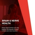 thumbnail image 5 of Protocol Grape Seed OPC 250mg - Oxidative Stress Quencher, Cardiovascular Support - 90 Veg Caps, 5 of 8