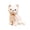 White, variant on Realistic Cat Stuffed Animal Soft Lifelike Cat Plush Toy Cuddly Comfort Companion(White-L-25cm)