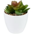 thumbnail image 4 of Northlight Mini White Potted Artificial Succulent Plant - 4", 4 of 7