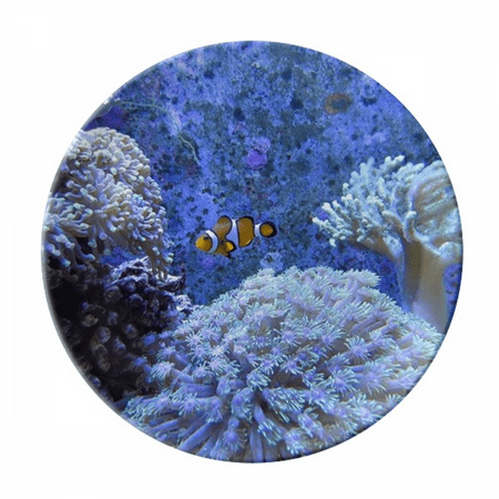 

Ocean Science Clownfish Nature Picture Plate Decorative Porcelain Salver Tableware Dinner Dish