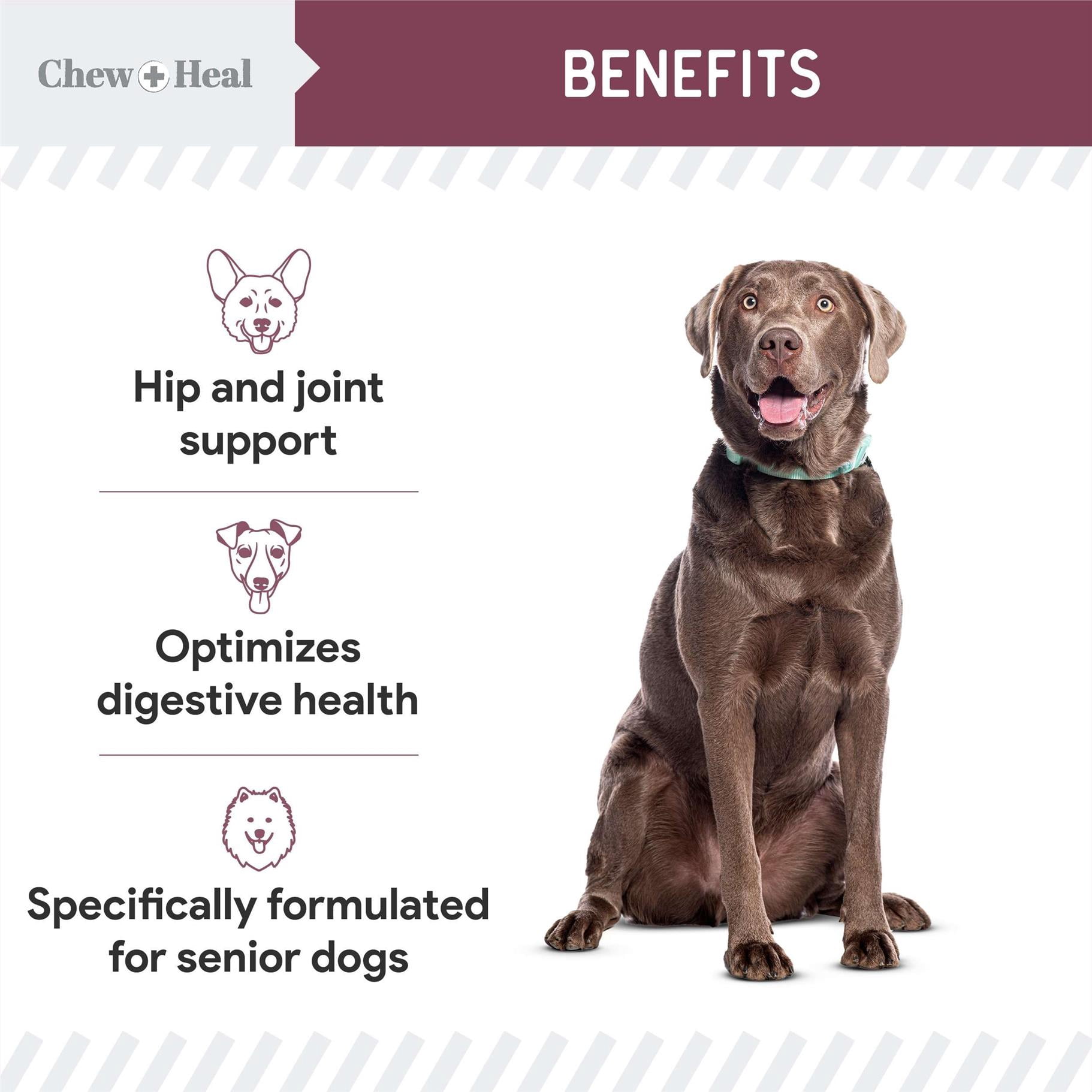 Chew + Heal Senior Dog 12-in-1 Multivitamin Soft Chews – Complete Daily Supplement for Joint, Skin, Digestive, and Immune Health – 120 Count