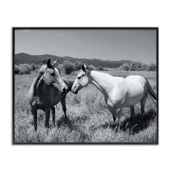 Stupell Industries Rustic Lodge Two Horses Photography Black Framed Giclee Art, 20 x 16, by Steve Toole