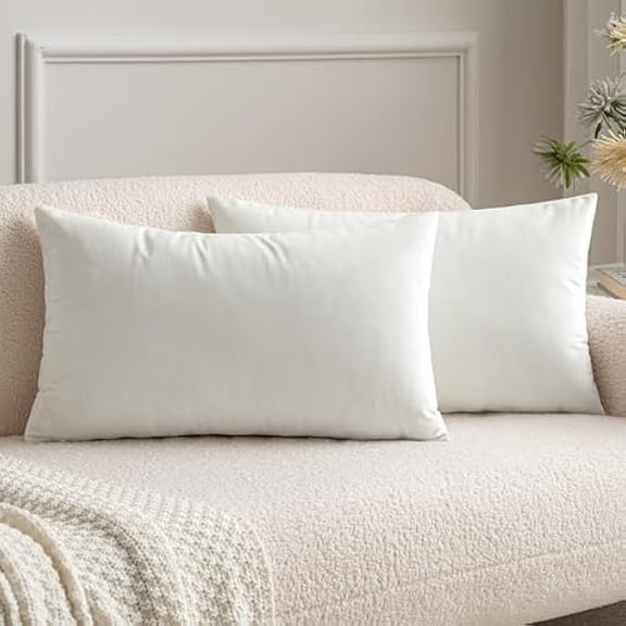 Eryueer Velvet Soft Soild Microfiber Decorative Square Pillow Case Throw Cushion Cover for Sofa Bedroom with Invisible Zipper Pure White 12"x20",2 Pieces
