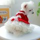 thumbnail image 3 of Winter Dog Princess Dress Wedding Dress Red Dog Dress for Small Medium Puppy Dogs Skirt Chihuahua Christmas Pet Clothes ShopWise Round, 3 of 7