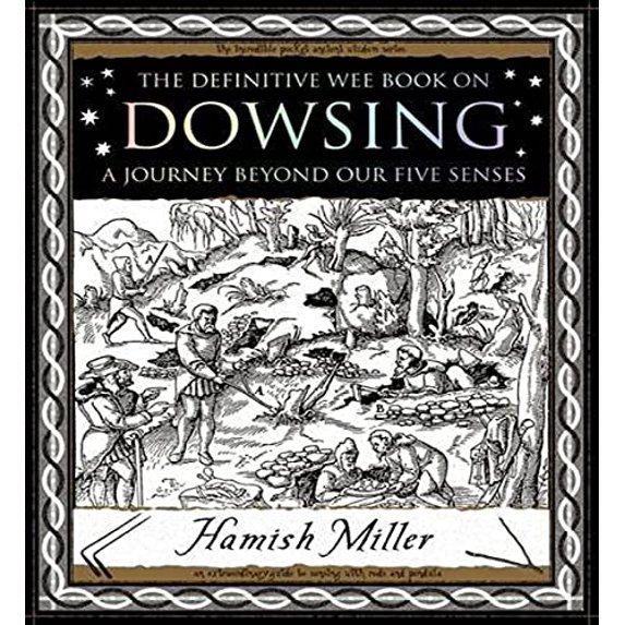 Pre-Owned Dowsing: A Journey Beyond Our Five Senses (Paperback) 1904263534 9781904263531