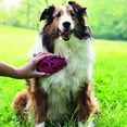 thumbnail image 5 of Cepillo Zoomgroom Frambuesa para Perros, 5 of 5