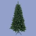 thumbnail image 2 of 6-Foot Green Pine Tree, 2 of 2