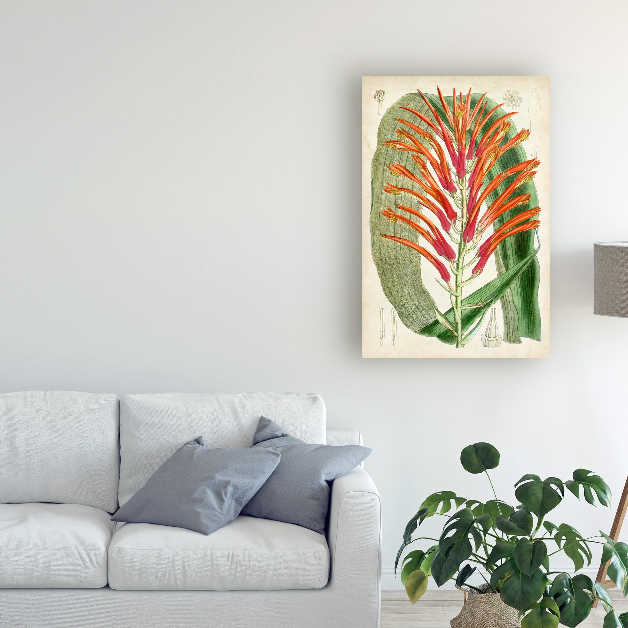 Trademark Fine Art 'Tropical Gems VI' Canvas Art by Curtis