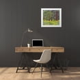 thumbnail image 3 of Gulin, Sylvia 22x20 White Modern Wood Framed Museum Art Print Titled - USA-Washington State-Table Mountain eastern Cascade Mountains Balsamroot and Lupine, 3 of 4