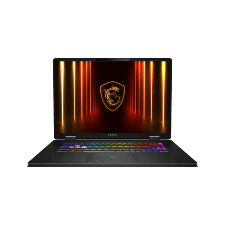 MSI Raider GE78HX Gaming Laptop, 17 in, i9-14900HX, RTX 4090