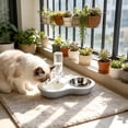 thumbnail image 6 of Qholemyo Raised 2 In 1 Pet Bowl Pet Food Bowl Stainless Steel Double Feeding Bowl Non Slide Base Dry Wet Food Water Feeder For Cats, 6 of 6